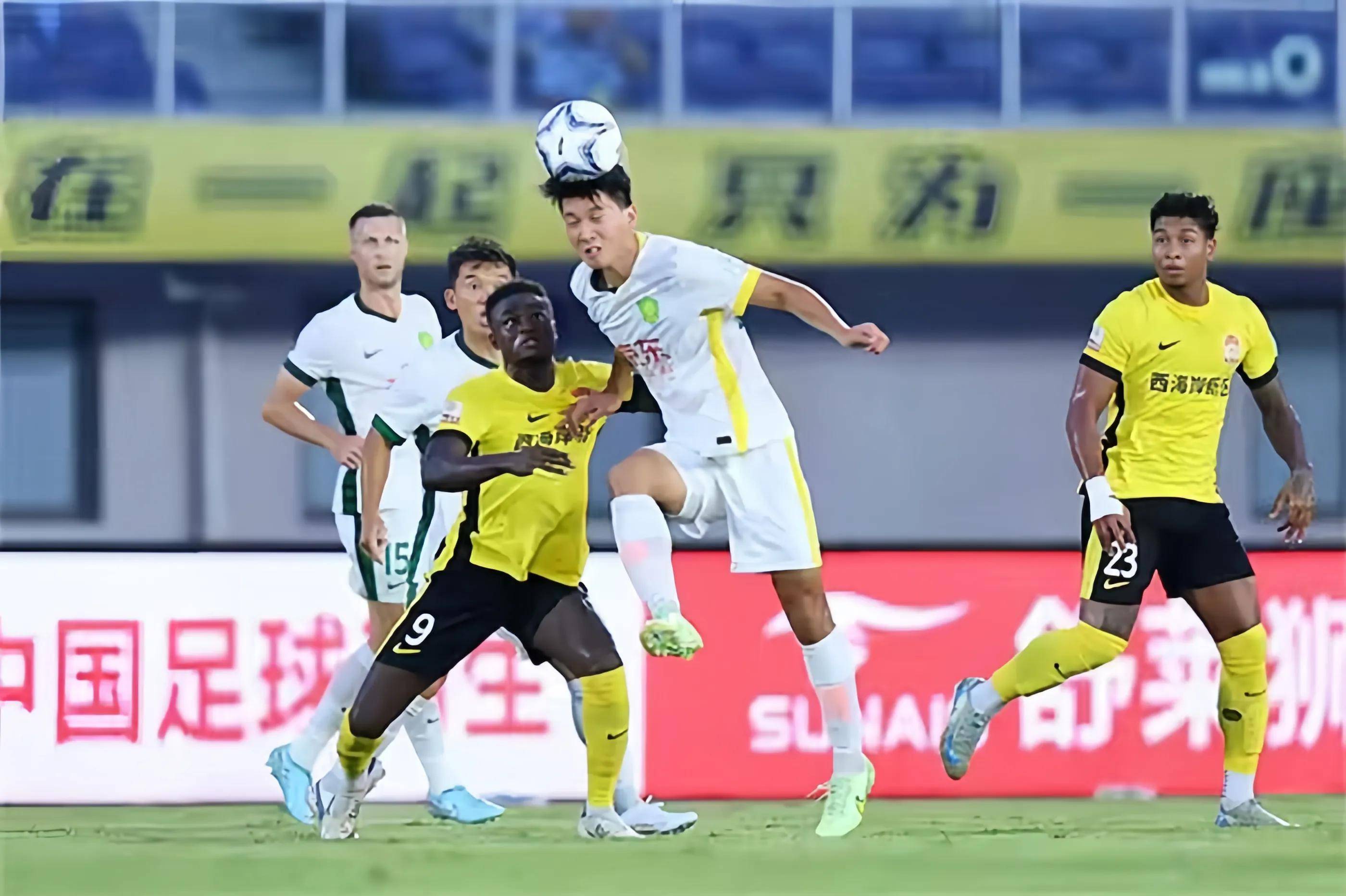 专业与免费 专业与免费