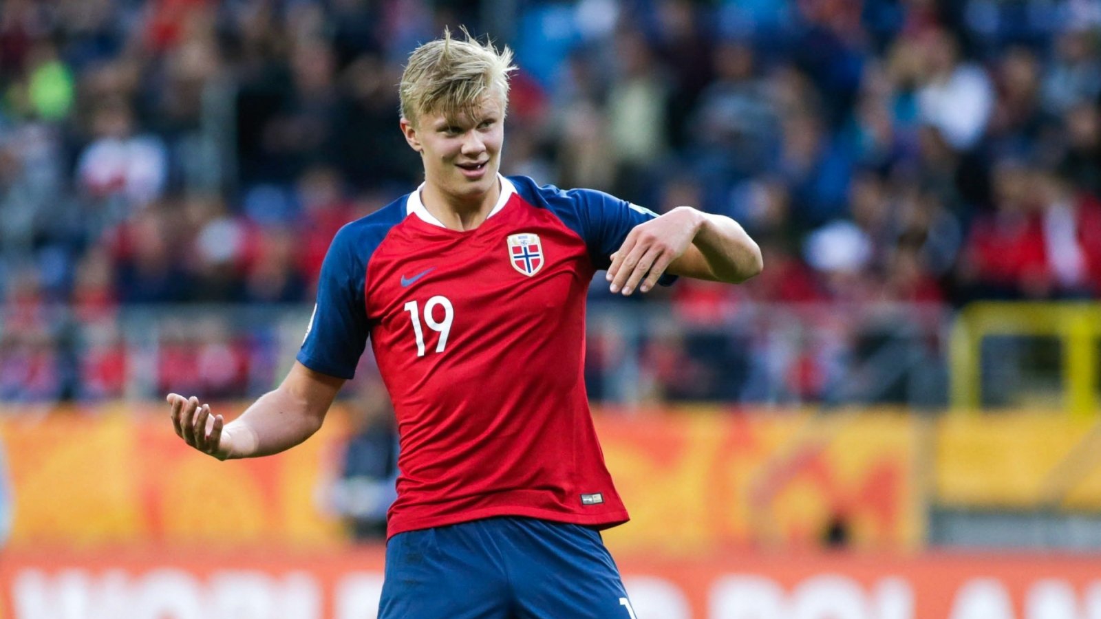 阿根廷的罗 阿根廷的罗